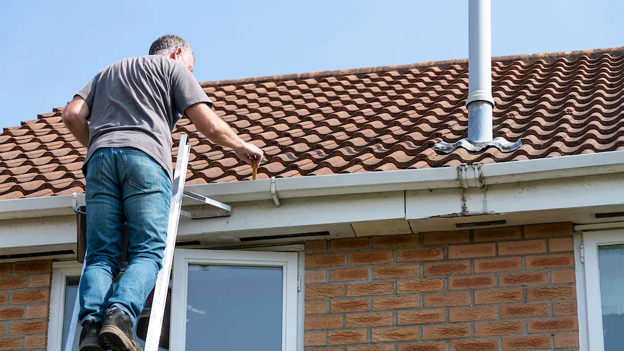 Roof Cleaning Advice Every Homeowner Should Know