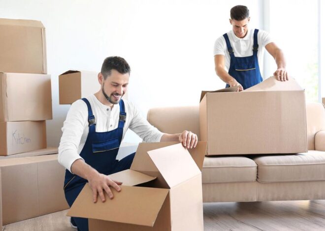 How to Choose the Best Canberra Movers